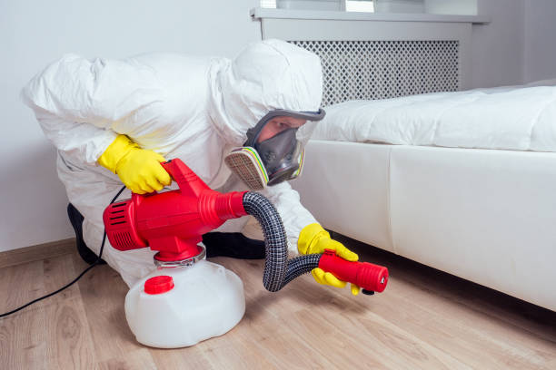 Reliable Denver, NC Pest Control Solutions